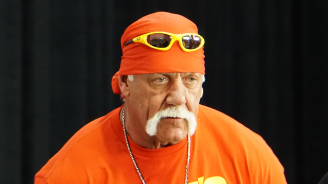 Hulk Hogan body