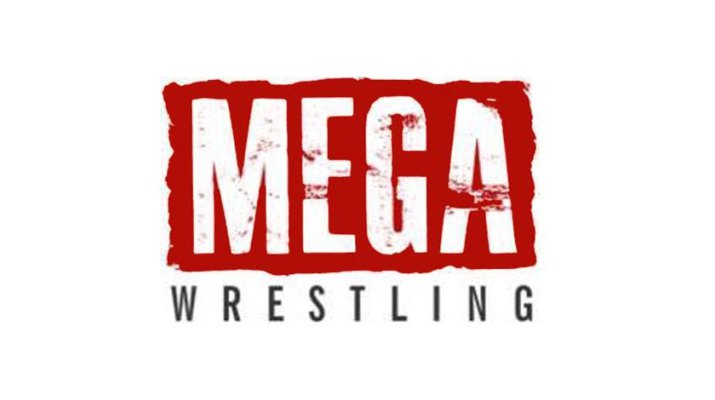mega wrestling